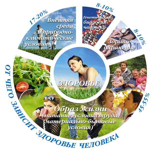 13:41 Центры здоровья для жителей Чувашии